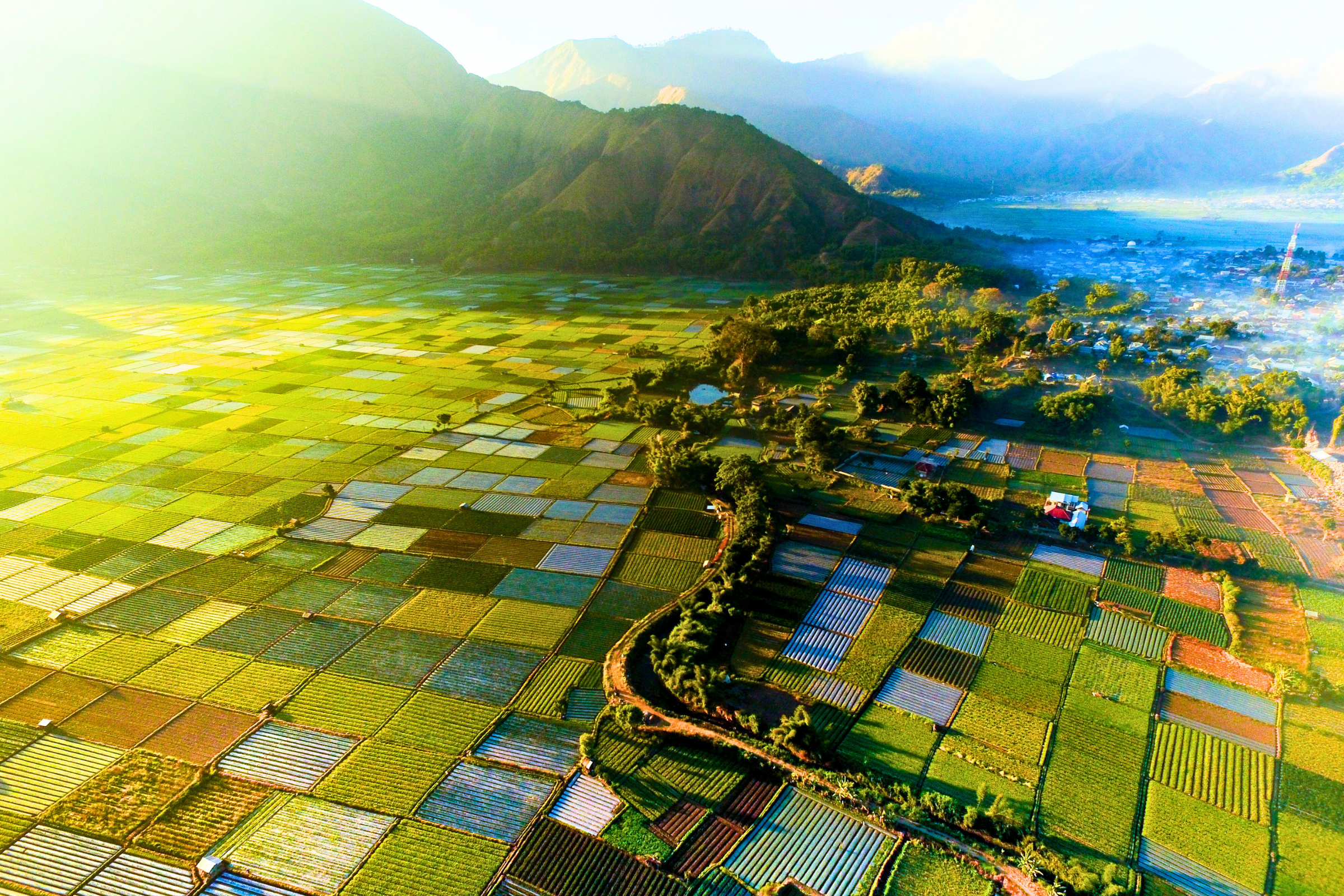 kwatisore (4).webp